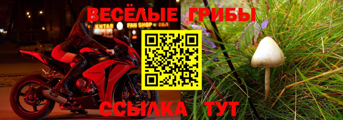 Мытищи  Псилоцибиновые грибы Magic Shrooms  Вход с VPN 