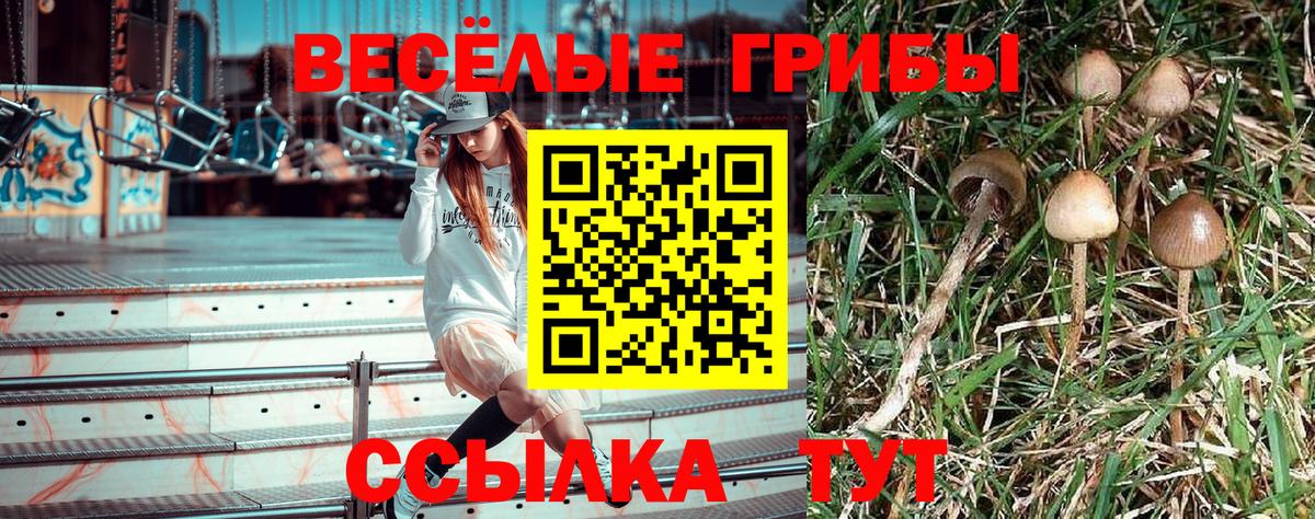Псилоцибиновые грибы Magic Shrooms Мытищи